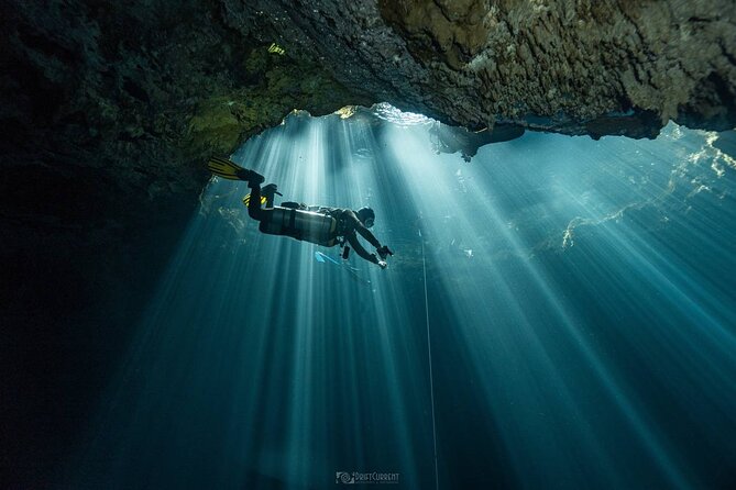 Diving in Cenotes: discovering the Mayan Underworld - Mayan Underworld vibes: what cenotes are like on this tour