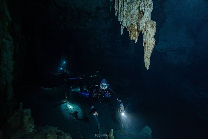 Diving in Cenotes: discovering the Mayan Underworld - The drive with history: more than just transportation