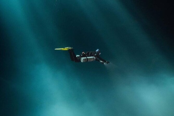 Diving in Cenotes: discovering the Mayan Underworld - Price and value: why $239.05 makes sense for a 5-hour water day