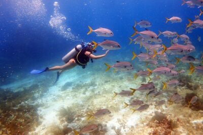 Diving in the Mexican Caribbean for Beginners | 2 Tanks 2 Dives | All Inclusive - Meeting at Pescador and Getting Your Gear Set Up