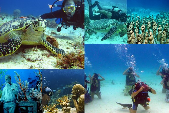 Diving + Muse - Timing, Weather, and How the 7.5 Hours Likely Feels
