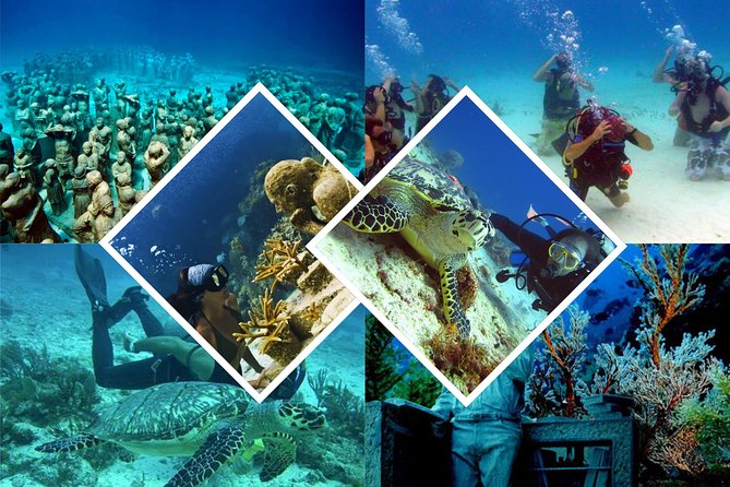 Diving + Muse - Booking Advice: Preventing the MUSA vs MECO Mix-Up