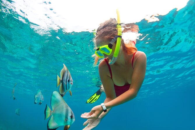 Drive an Speedboat + Mayan Ritual + Food Tasting and More! - Price and logistics: $49 can be a bargain, or a trap, depending on taxes