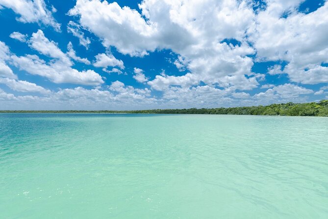 Eco Adventure At 3 Cenotes & 1 Lagoon ! From Cancun & Riviera - Food and drinks: box lunch now, restaurant meal later