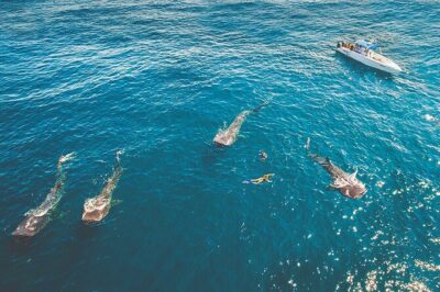 Eco Whale Shark Encounter - Isla Mujeres first stop: getting to Playa Norte level