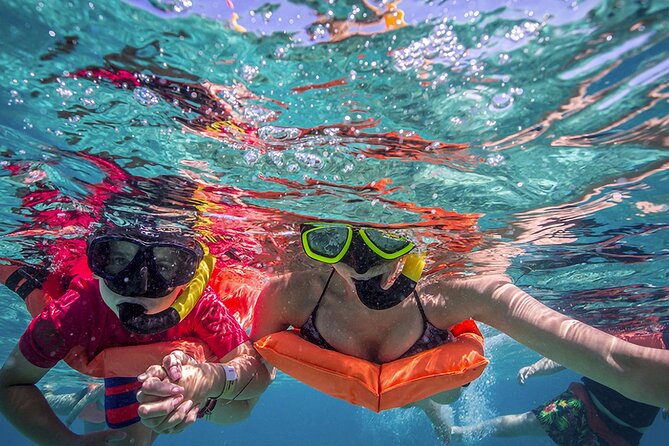 Eco Whale Shark Encounter - Snorkeling comfort: equipment is included, physical fitness is still on you