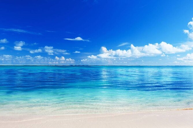 El cielo Cozumel From Cancún and round Transfer with Lunch - Key Highlights at a Glance