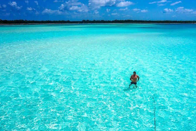 El cielo Cozumel From Cancún and round Transfer with Lunch - Reef-Hopping on a Guided Boat: Columbia, Palancar, and Colombia Areas