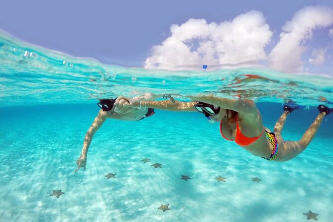El cielo Cozumel From Cancún and round Transfer with Lunch - Snorkeling Gear and Your Comfort Checklist