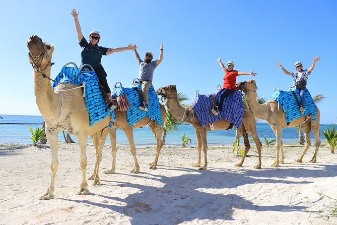 ENJOY UNIQUE CAMEL RIDE in Puerto Morelos with Transportation - The 15-Minute Brief + Mandatory Helmet: Safety First