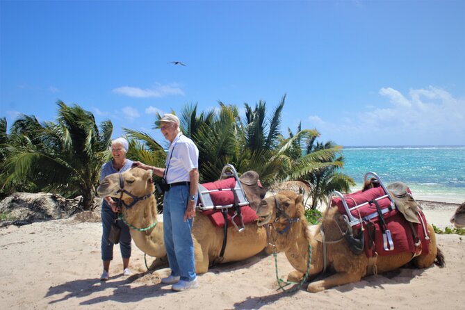 ENJOY UNIQUE CAMEL RIDE in Puerto Morelos with Transportation - Photography Reality Check: No Phones During the Ride
