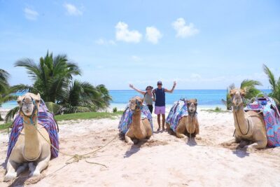 ENJOY UNIQUE CAMEL RIDE in Puerto Morelos with Transportation - The 45-Minute Camel Caravan: Jungle-to-Beach Scenery