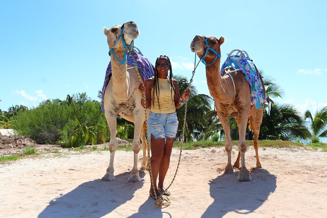 ENJOY UNIQUE CAMEL RIDE in Puerto Morelos with Transportation - Price and Value: What $165 Really Buys