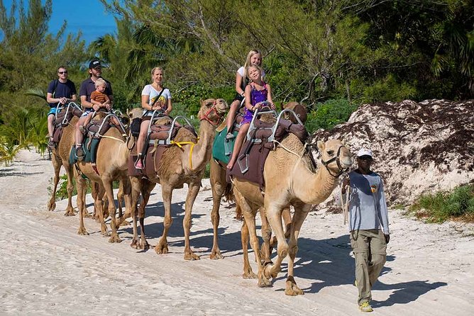 ENJOY UNIQUE CAMEL RIDE in Puerto Morelos with Transportation - Who This Camel Tour Fits (and Who Should Skip It)