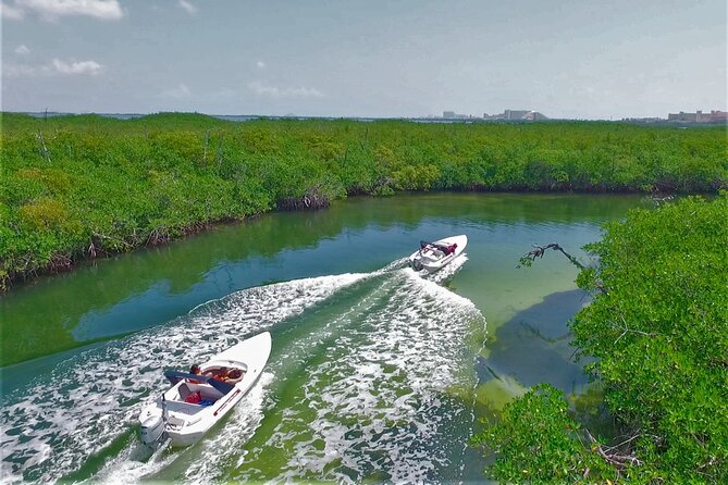 Exciting Speedboat & Snorkeling Tour in Cancun Lagoon! - Who this speedboat-and-snorkel fits best