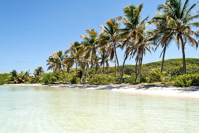 Excursion Isla Contoy & Isla Mujeres from Cancun - Getting to Isla Contoy: The Boat Ride Setup