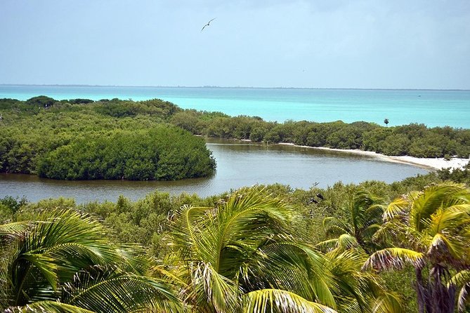 Excursion Isla Contoy & Isla Mujeres from Cancun - Boat Size, Crowds, and the Ride Back