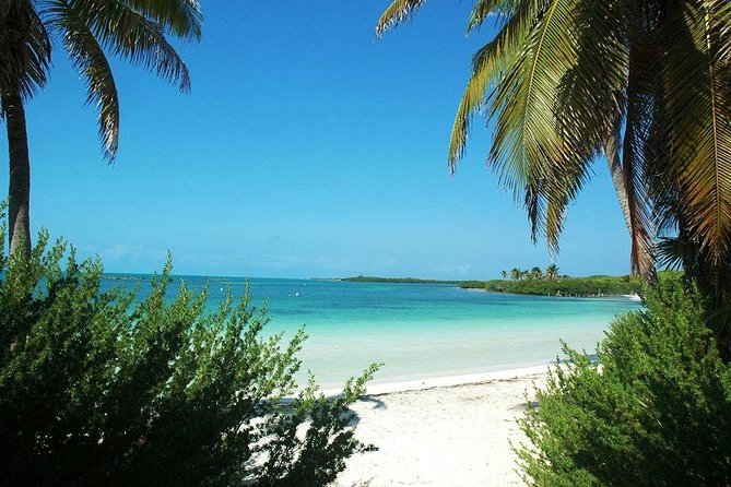 Excursion Isla Contoy & Isla Mujeres from Cancun - What to Pack: Simple Gear Choices That Prevent Headaches