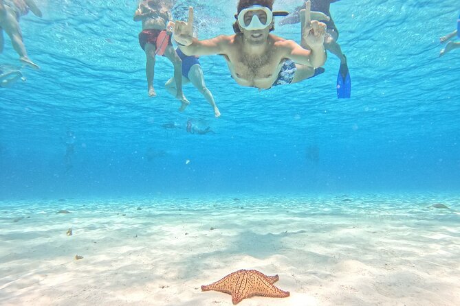 Excursion to Cozumel from Cancun - Key Points to Know Before You Go