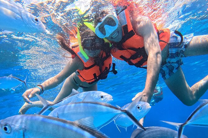 Excursion to Cozumel from Cancun - Playa El Cielo Snorkeling: Crystal Water and Starfish Sightings
