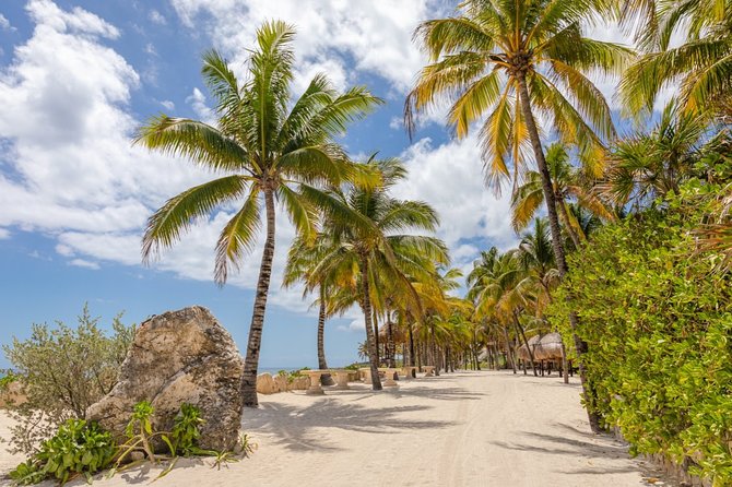 Experience an amazing ecological park tour & explore Isla Mujeres by catamaran. - Snorkeling gear and the coral reef moment
