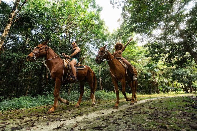 Experience ATV, Ziplines, Cenote and Horses Ride in Cancún - ATV, Zipline, Cenote, Horses: The 4-part Adrenaline Mix