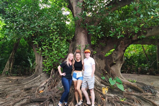 Experience Cancun's Hidden Gems, Mayan museum, cenote & Market 23 - Stop 3: Neen Ha cenote swim with life jacket and towels (1 hour)