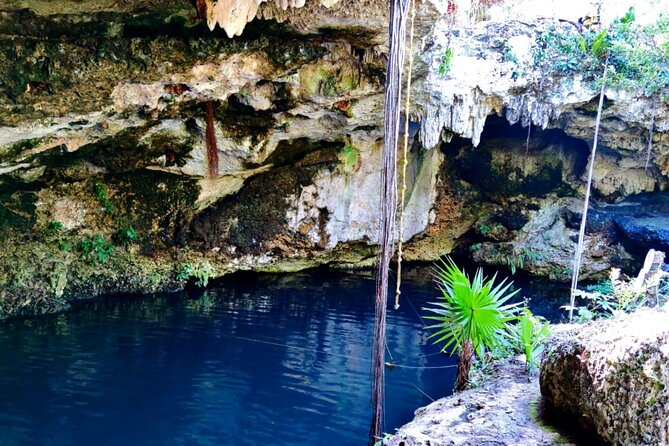 Experience Cancun's Hidden Gems, Mayan museum, cenote & Market 23 - Who this tour fits best (and who might want a different day)