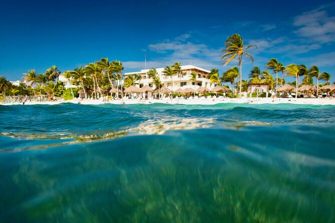 Experience swimming with turtles and explore the ruins of Tulum. Lunch included. - Who this tour fits best (and where it might not)