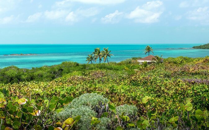 Explore Contoy Island - Key highlights you’ll want to notice