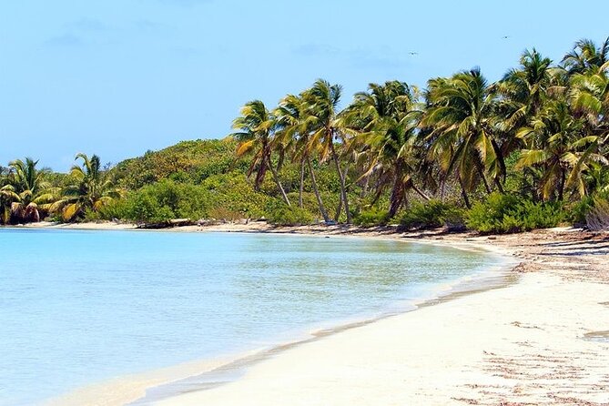 Explore Contoy Island - Two islands in one day: Contoy and Isla Mujeres from Cancun