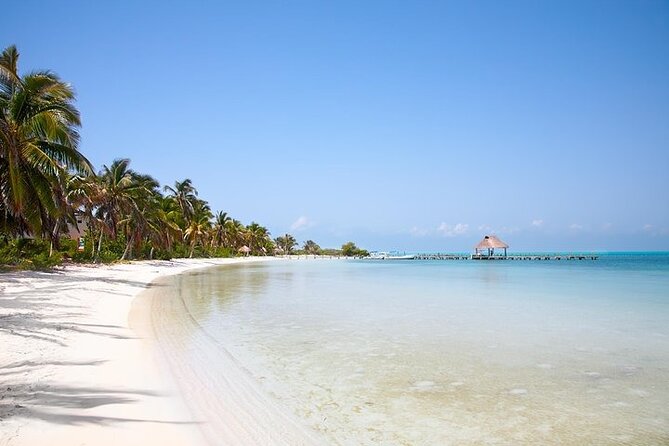 Explore Contoy Island - Ixlache Reef snorkeling: included gear and the swimmer rule