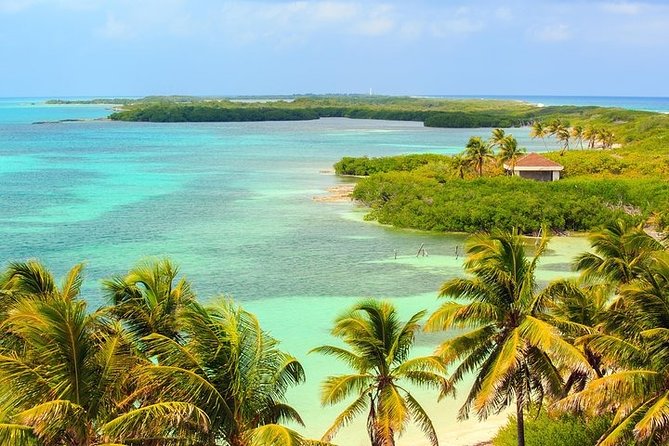 Explore Contoy Island - Exploring Contoy Island: birds, viewpoints, and quiet nature time