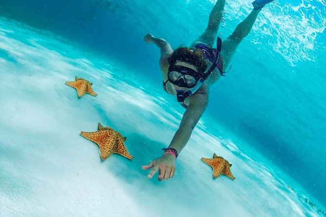 Explore El Cielo in Cozumel. Snorkel in 3 different reefs & visit Cielito Beach. - A Starfish Sandbar and a Full Reef Circuit