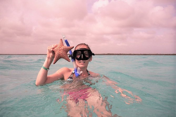 Explore El Cielo in Cozumel. Snorkel in 3 different reefs & visit Cielito Beach. - Snorkeling the Reefs: Palancar, Colombia, El Cielo (and When They Swap)