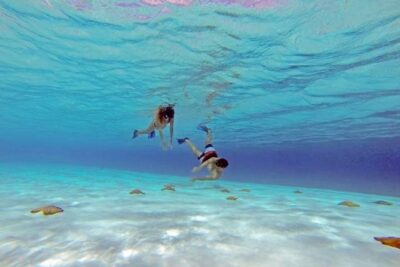 Explore El Cielo in Cozumel. Snorkel in 3 different reefs & visit Cielito Beach. - From Your Hotel to Playa del Carmen, Then Over to Cozumel