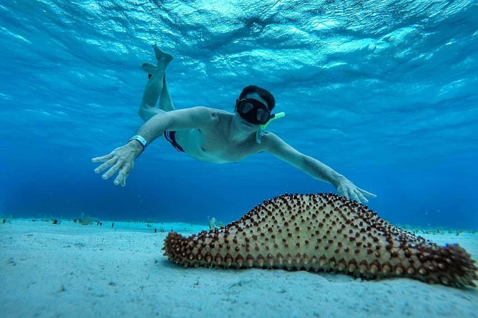 Explore El Cielo in Cozumel. Snorkel in 3 different reefs & visit Cielito Beach. - Logistics Reality Check: Pickup Timing and Shared-Group Comfort