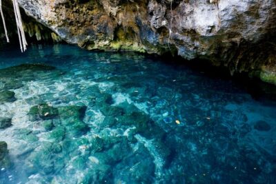 Explore Tulum and Dos Ojos Cenote with lunch and transportation - Morning Setup at Escultura Ven A La Luz: The Easy Win for Photos