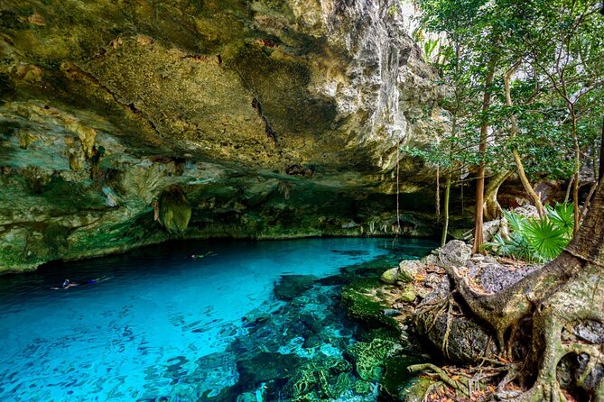 Explore Tulum and Dos Ojos Cenote with lunch and transportation - Transportation, Timing, and the Reality of a 12–14 Hour Day