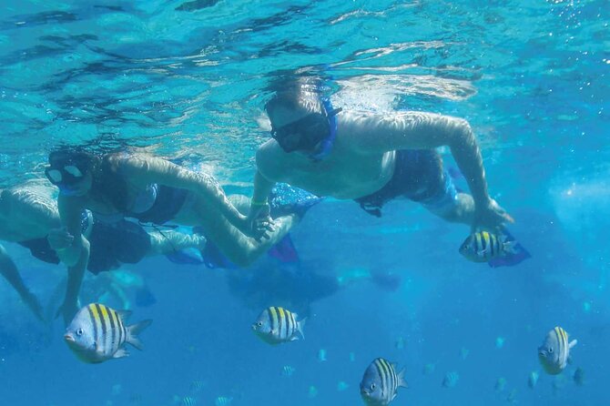 Fast & Fun: Cancun Speedboat Tour with Snorkeling - Snorkeling at Mayan Reef: How to Manage Expectations