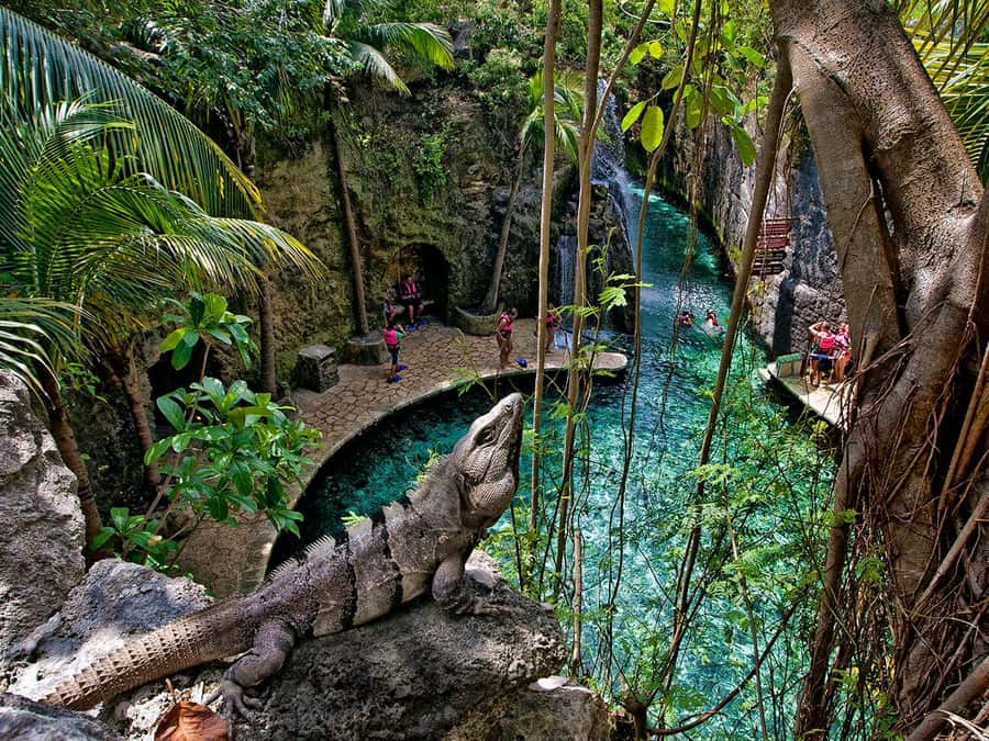 From Cancun: Complete Combo to Xcaret Park! - The 13.5-hour rhythm: fitting swimming, animals, and shows