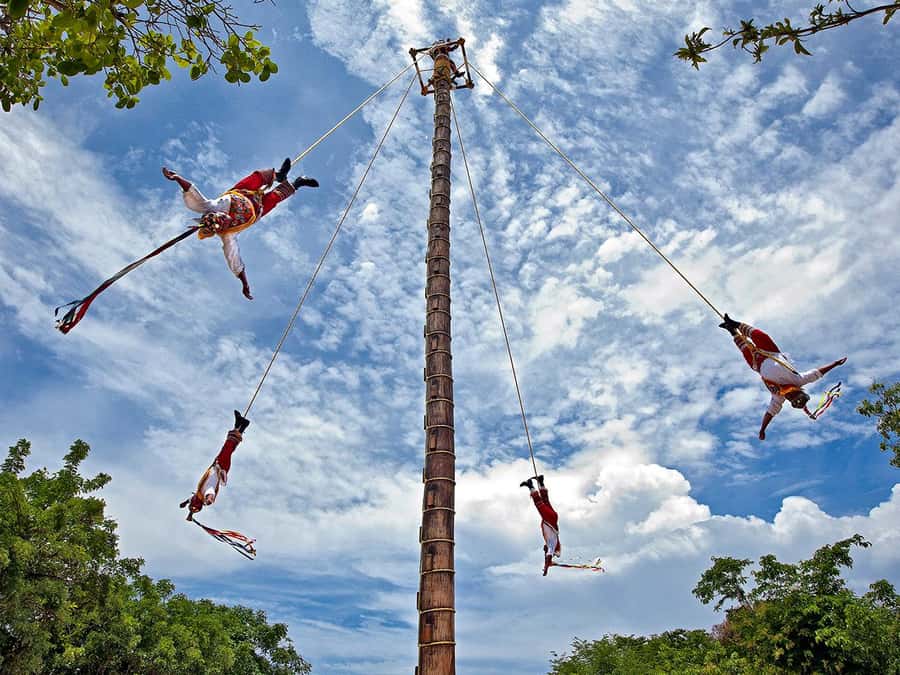 From Cancun: Complete Combo to Xcaret Park! - Snorkeling and reef time: what the gear inclusion means