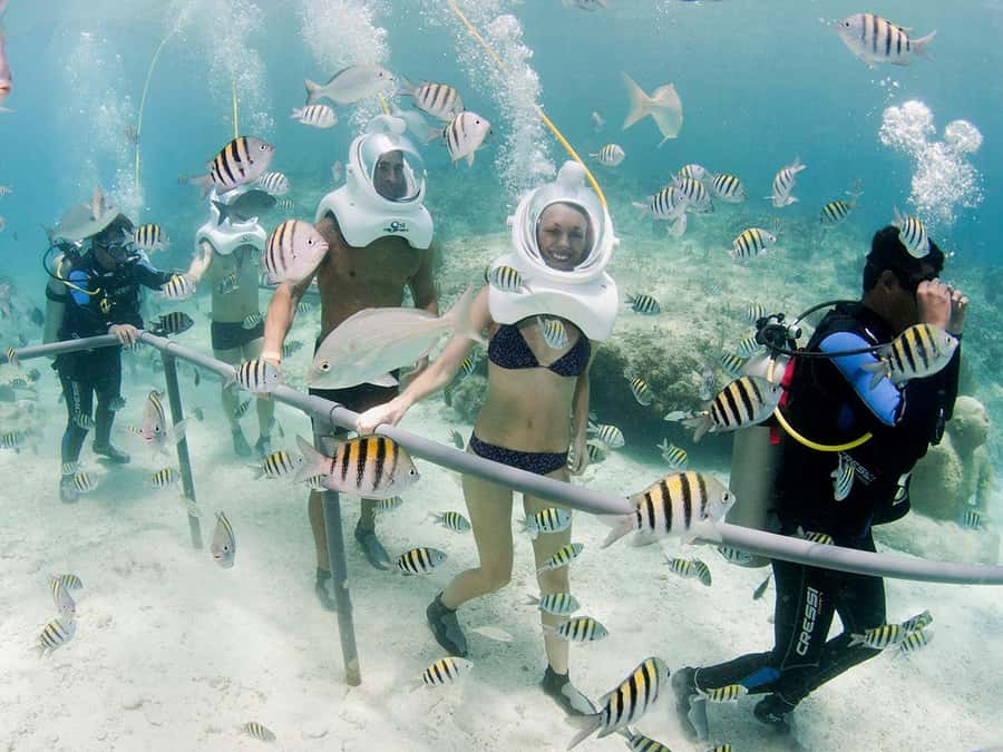 From Cancun: Complete Combo to Xcaret Park! - Coral Reef Aquarium, Butterfly Garden, and Aviary: the calmer side of Xcaret