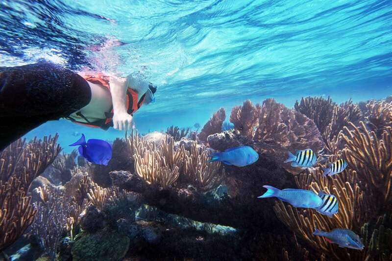 From Cancun: Garrafon Reef Park Admission with Ferry Tickets - Cancun to Isla Mujeres on a private ferry: the ride sets the tone