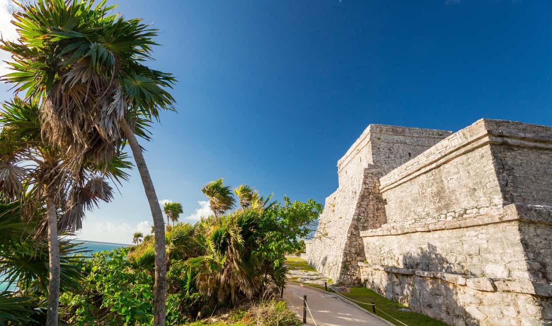 From Cancun: Tulum, Cenote and Turtle Swim Tour at Akumal - Akumal turtle swim: Snorkeling that’s gentle, not showy