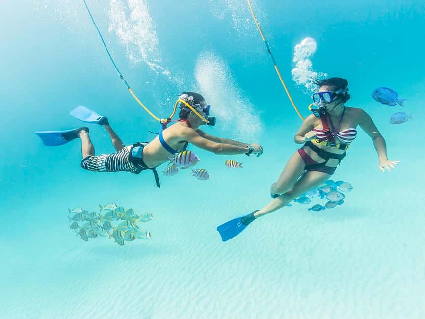 From Cancun: Xcaret Park All-Inclusive - Key things to know before you go