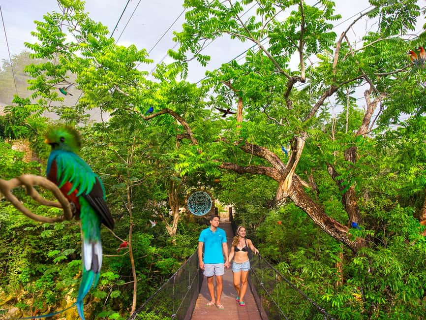 From Playa del Carmen: Xcaret Plus Park, the complete experience - Xcaret Plus from Playa del Carmen: what you’re really buying
