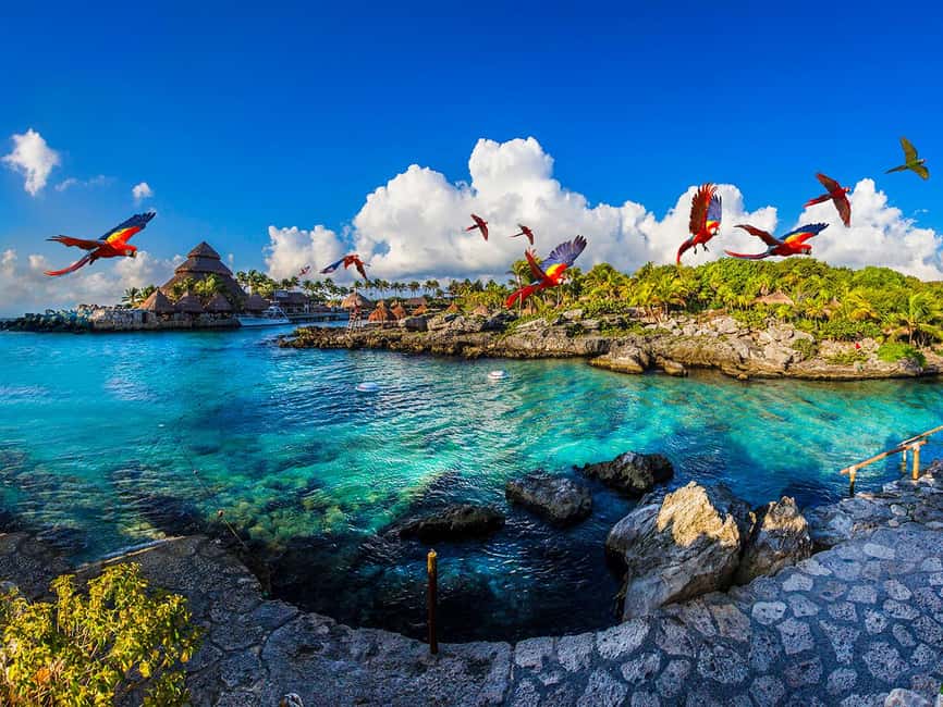 From Playa del Carmen: Xcaret Plus Park, the complete experience - Underground rivers: what the included swim really means