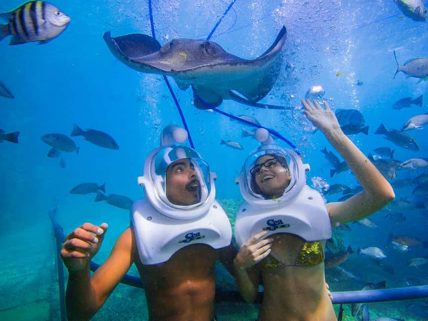 From Playa del Carmen: Xcaret Plus Park, the complete experience - Wildlife circuit plus beaches and natural pools