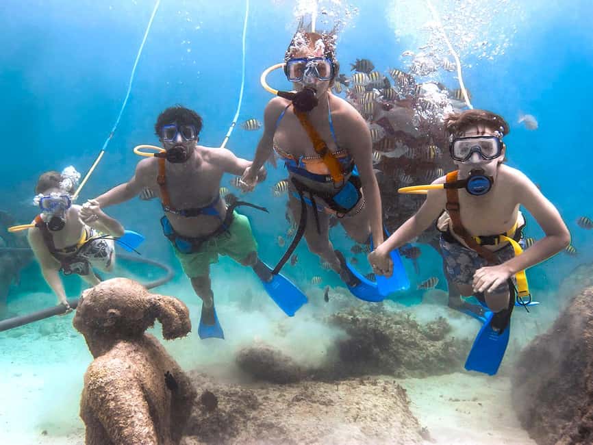 From Riviera Maya: Xcaret Park Plus, the complete experience - Transportation from Cancun, Tulum, or Playa del Carmen: less stress, same schedule